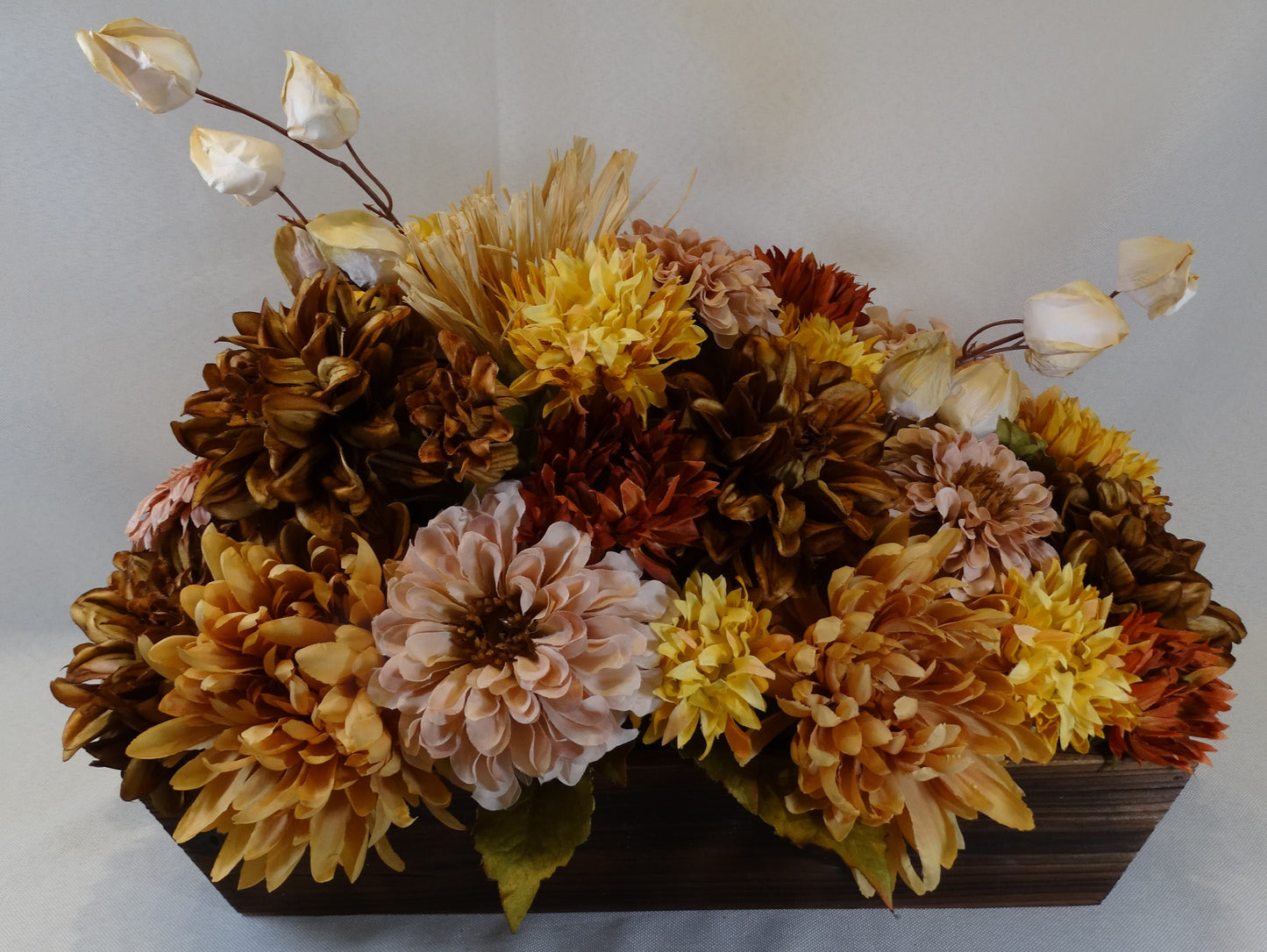 Dahlia Celebration